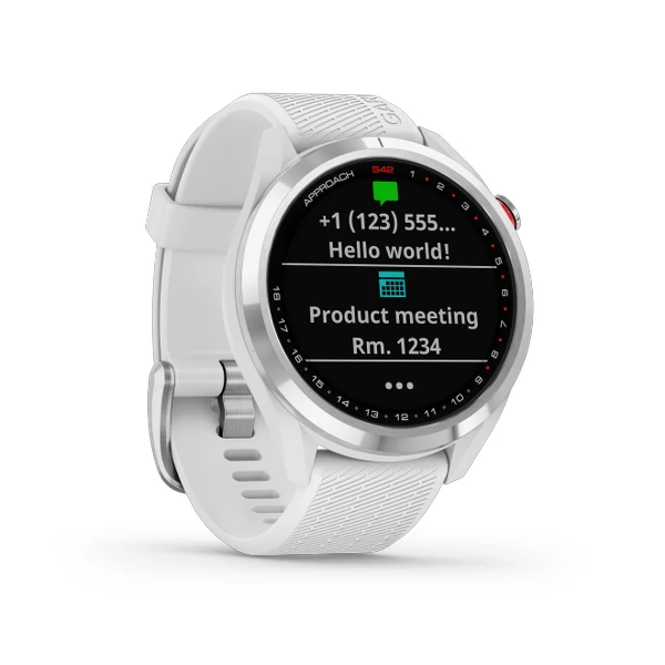 Garmin Approach S42